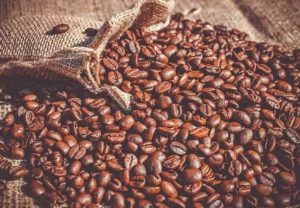 ルカフェのコーヒー豆の選別