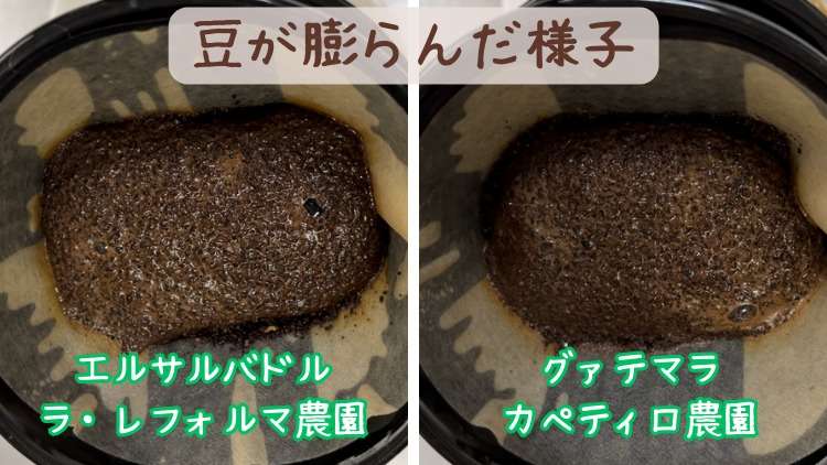 土居珈琲のコーヒー豆が膨らんだ様子